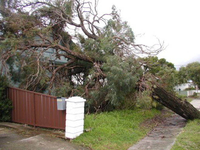 Whitecaps find the cutting edge to down&nbsp;Timbers