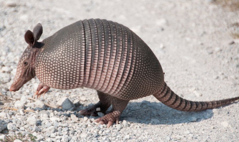 Whitecaps hold Seattle to a scoreless&nbsp;draw!